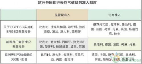 歐洲天然氣管網(wǎng)基礎(chǔ)設(shè)施 建設(shè)運(yùn)營(yíng)與監(jiān)管機(jī)制解析